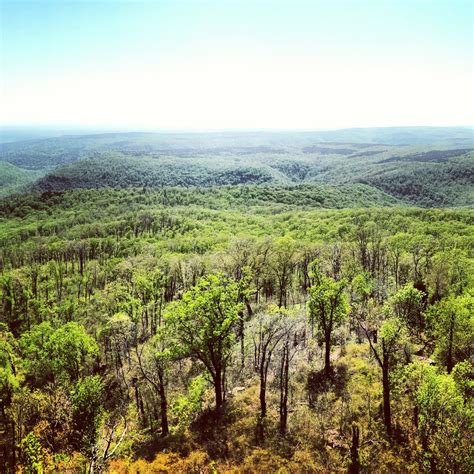Visit Ozark National Forest In Arkansas Expedia