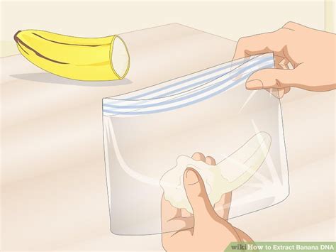 Easy Ways To Extract Banana Dna 13 Steps With Pictures