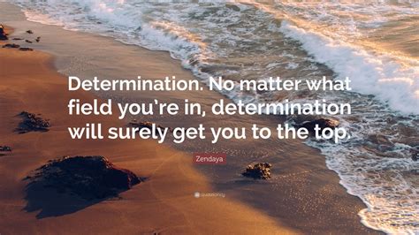 Zendaya Quote Determination No Matter What Field Youre In