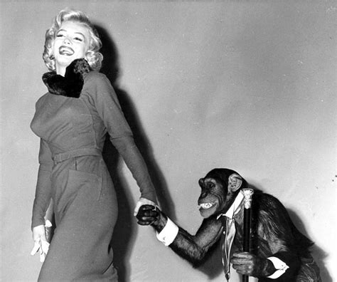 Marilyn Monroe In A Promotional Photo For Monkey Business By John Florea Marilyn