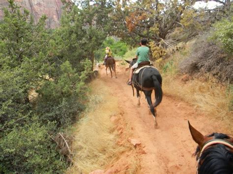 Hit The Trail Exploring Zion National Park On An Equestrian Adventure