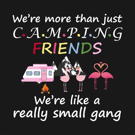 we re more than just camping friends flamingos men s and women s camping friends t shirt