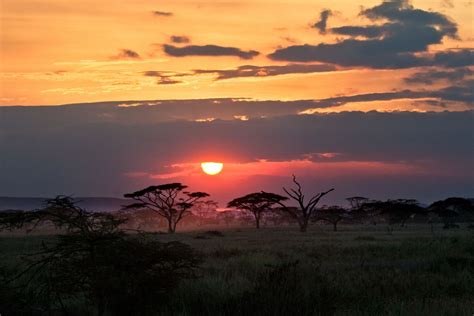 Serengeti Sky Serengeti African Sunset Africa Safari