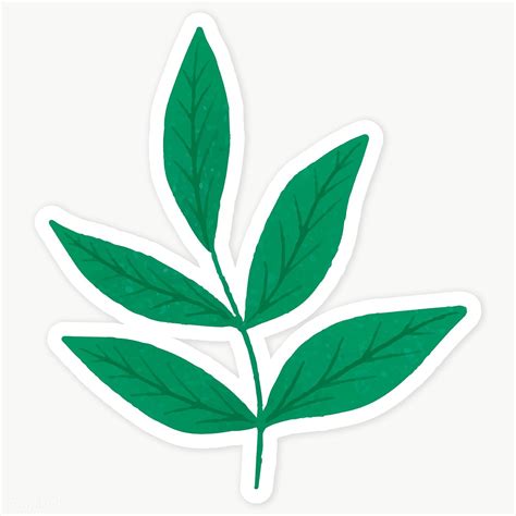 Download Free Png Of Green Leaves Sticker Transparent Png By Katie