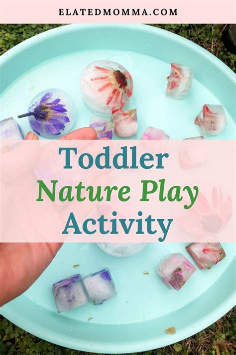 Toddlers Nature Play Activity With Ice Cubes And Flowers On A Plate