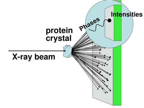 Ppt Advancing X Ray Crystallography Via Protein Structure Prediction