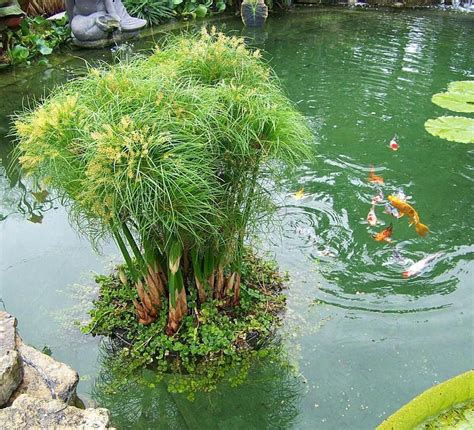 Floating Island Planter - Koi Pond Planter - Backyard Water Garden