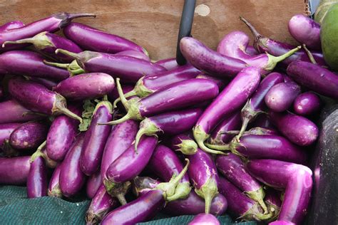 Aubergines Purple Love All Things Purple Eggplant