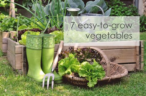 Easy To Grow Vegetables Arctic Gardens