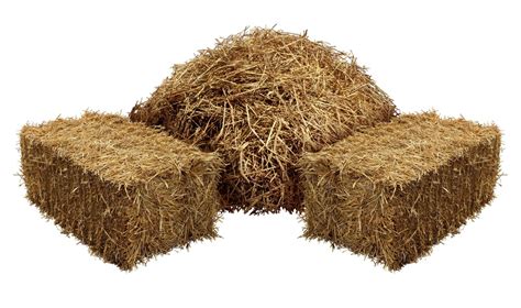 How To Ship Hay Via Ltl Freight Without Incurring Additional Fees