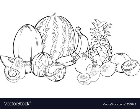 Black and white hand drawn set with tropical exotic fruits vector. Tropical fruits for coloring book Royalty Free Vector Image