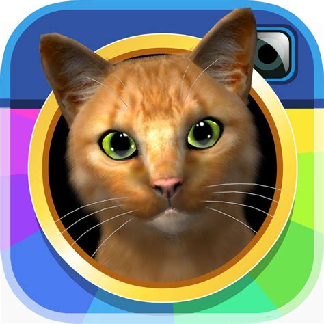 Instakitty 3d App Icon Cat Simulator Feline Simulation