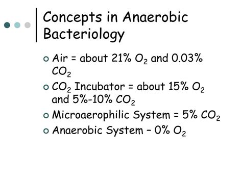 Ppt Chapter 19 Anaerobes Of Clinical Importance Powerpoint
