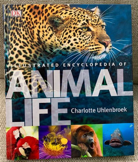 Dk Series Illustrated Encyclopedia Of Animal Life Hobbies And Toys