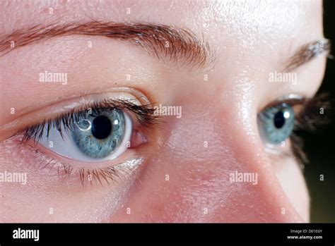 Blue Eyes Closeup Stock Photo Alamy