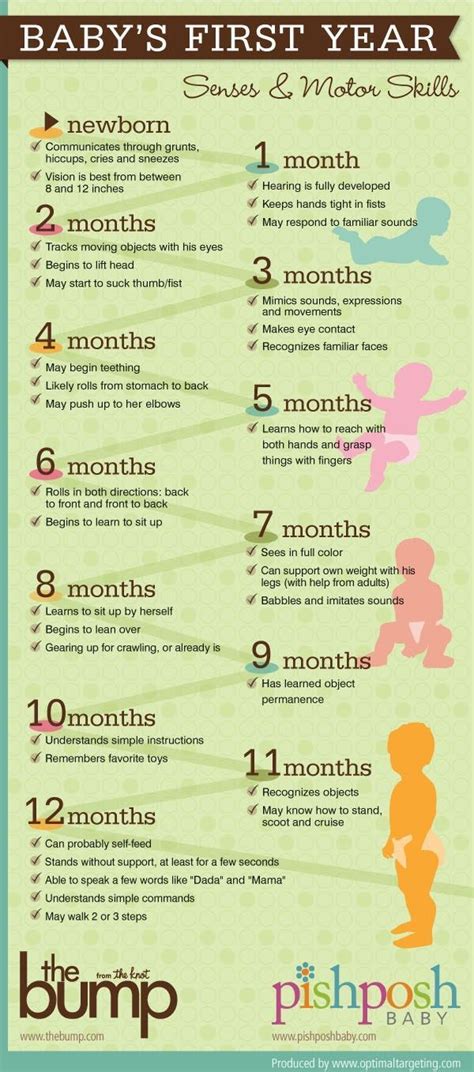 A Quick Guide To Babys First Year Milestones Baby Development Baby