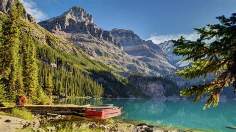 Side Trail Near Paget Peak Yoho National Park British