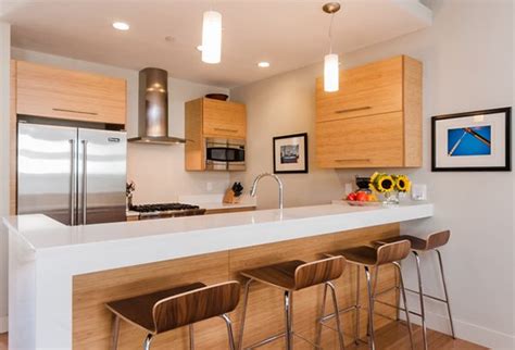 20 Dashing And Streamlined Modern Condo Kitchen Designs Home Design Lover