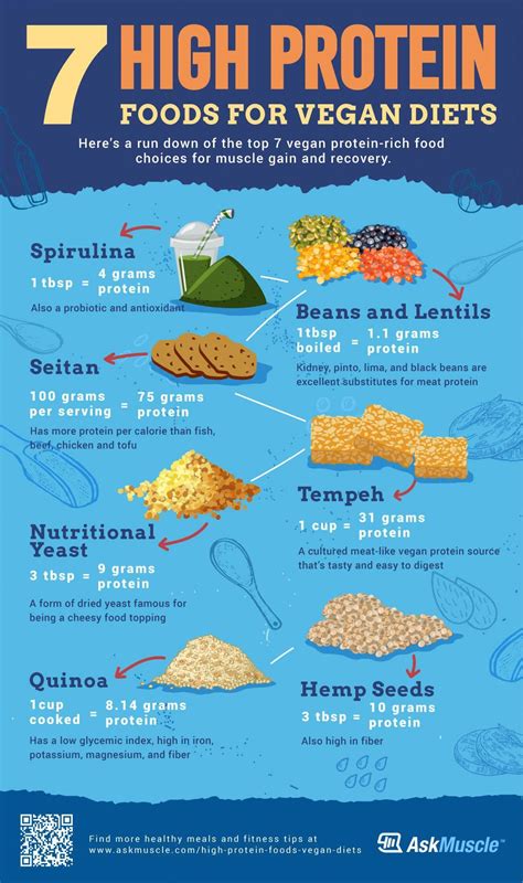 High Protein Foods For Muscle Building Tech Design Trick