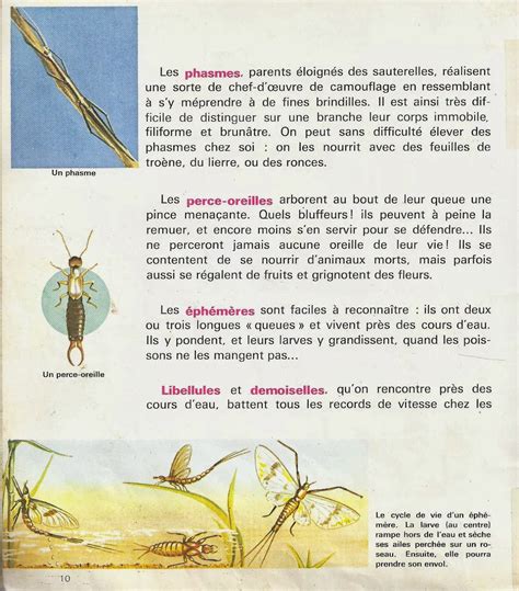 Manuels Anciens Comment Vivent Les Insectes