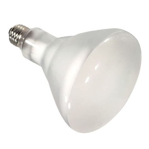 Products P4611 Satco Satco S4516 Dimmable Halogen Lamp 65 W