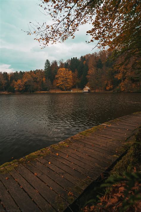 A Lake In Northern Croatia In November Nature Aesthetic Autumn