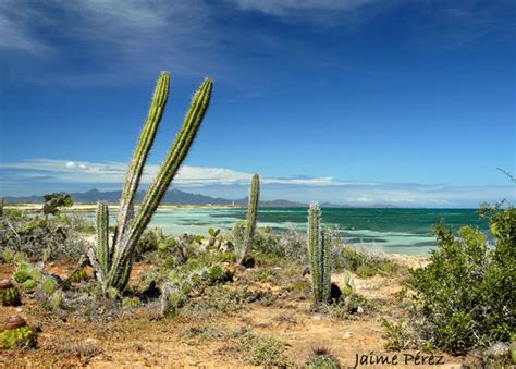 Foto De Isla De Cubagua Nueva Esparta Venezuela