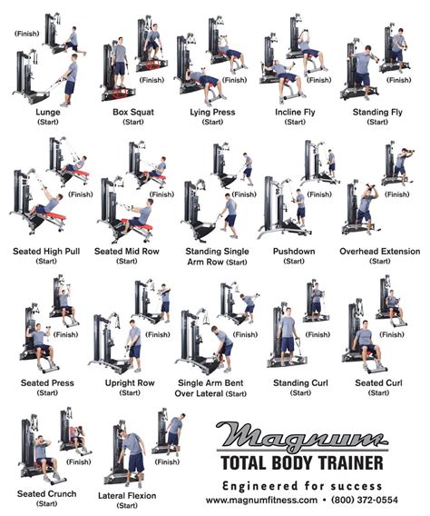 Weider 2980 X Home Gym System Exercise Chart