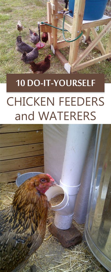 Automatic Chicken Feeder Diy Automatic Chicken Feeders Save Time
