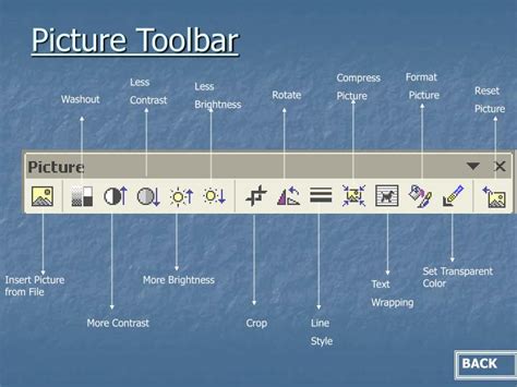 Ppt Microsoft Word Toolbars And Vocabulary Powerpoint Presentation