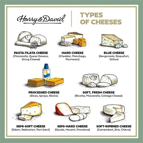 11 Types Of Cheese You Should Know The Table By Harry David