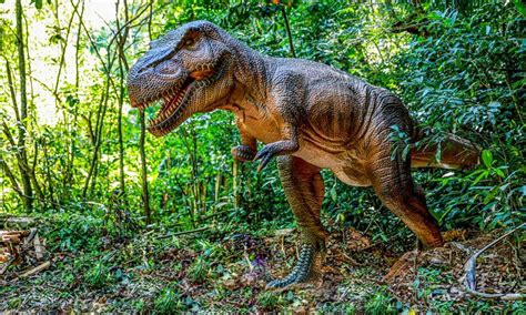 Actualizar Imagem Novo Parque Dos Dinossauros Br Thptnganamst Edu Vn