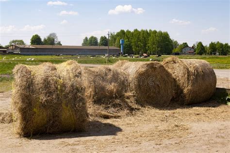 Haystack A Bale Of Hay Group Agriculture Farm And Farming Symbol Of