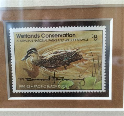 Ducks Unlimited Stamp Print 1991 Australian Nature Conserv Agy