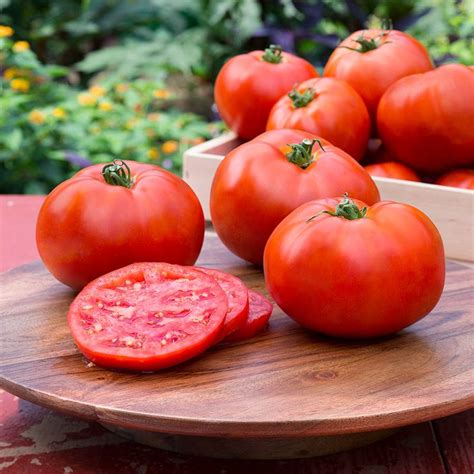 Better Boy Tomato Fruit Size 16 Oz Matures 70 To 75