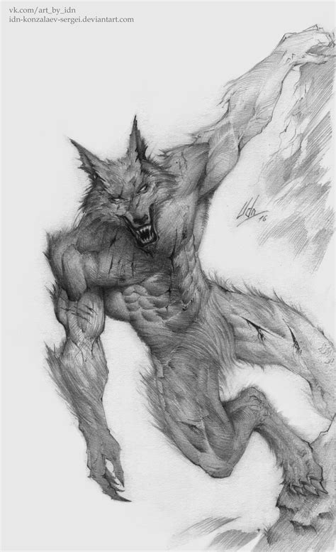 Werewolf By Idn Konzalaev Sergei On Deviantart Werewolf Drawing