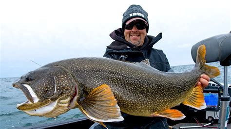 Michigan Dnr State Record Fish Sizes