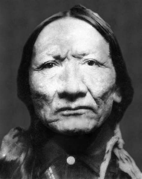 Crazy Bull Brule Sioux Lakota Native American History Native
