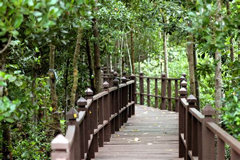 Tanjung piai national park is located in tanjung piai, 82300 kukup, johor, malaysia, and it contains, the most southerly point in mainland asia (don't believe all that stuff that it is in sentosa, singapore). Tanjung Piai Johor National Park - GoWhere Malaysia