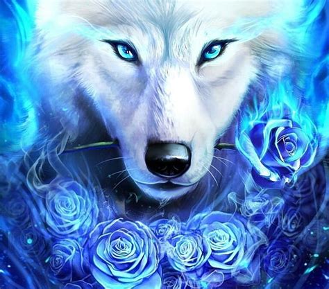 X Px P Free Download White Wolf With A Rose Frumusete Luminos Rose Iarna