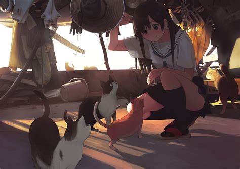 Three Cat Illustration Anime Girls Cat Animals Artwork Hd Wallpaper
