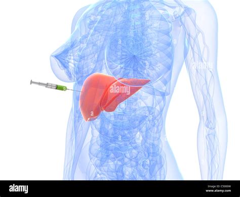 Liver Injection Stock Photo Alamy