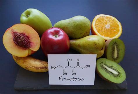 Examples Of Carbohydrates Biology Dictionary