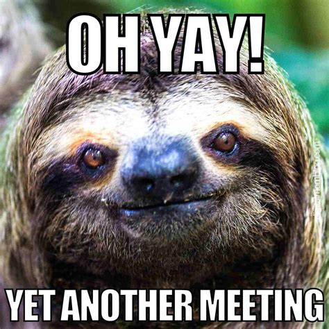 Executive Meeting Memes