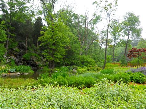 Wetland Garden Andrew Grossman Landscape Design