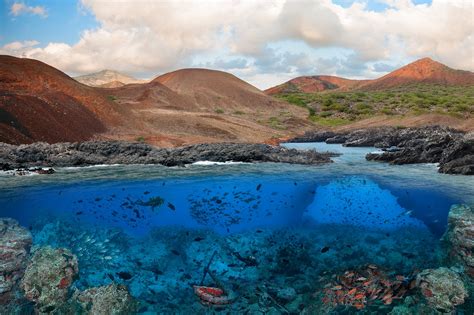 Ascension definition, the act of ascending; No fishing allowed in Ascension Island's new marine ...