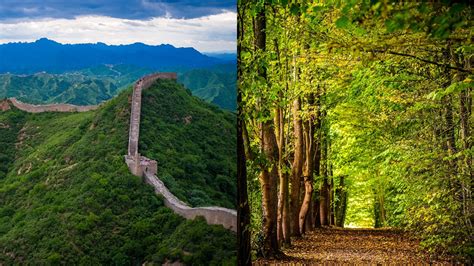 Government Plans Great Wall Of India To Combat Climate Change