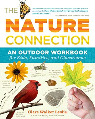 Nature Connection An Outdoor Workbook For Kids Families And