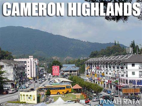 How to get from penang to cameron highlands by bus. Malaysia: Bus trip from Penang to Cameron Highlands | Ivan ...