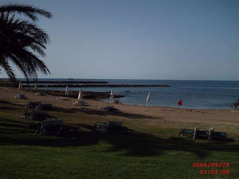 "Strand" Constantinou Bros Athena Beach Hotel (Paphos) • HolidayCheck
